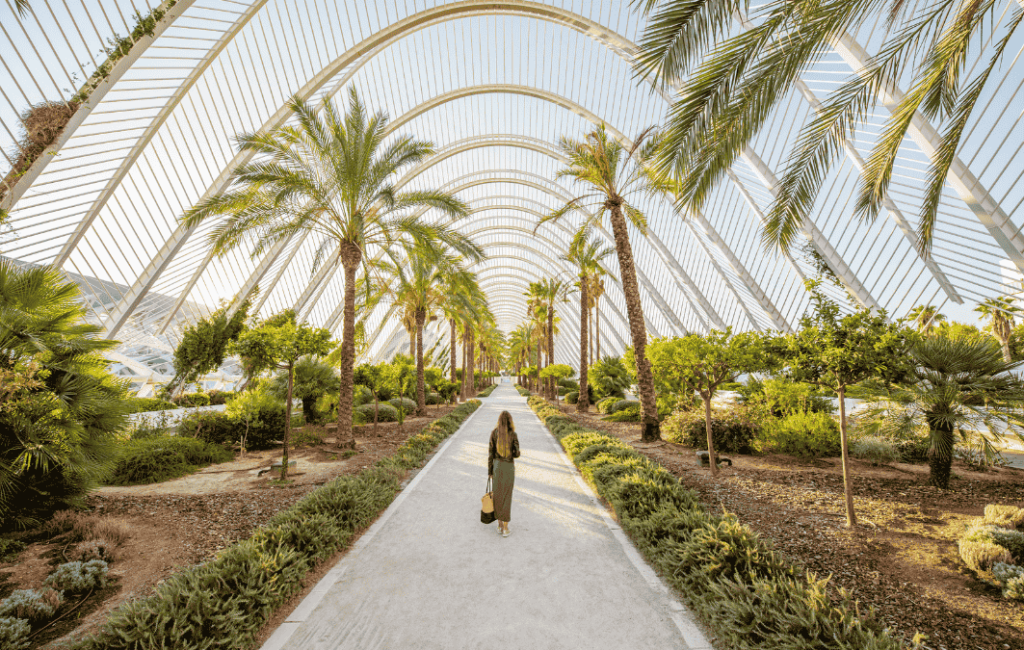 Blog Valencia img