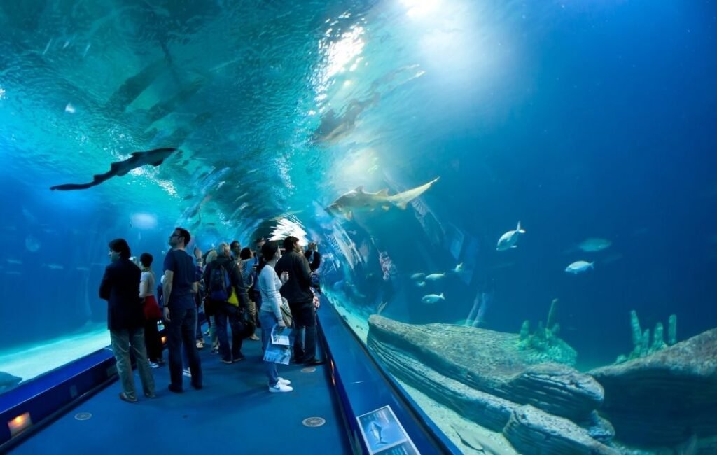 valencia oceanografico img